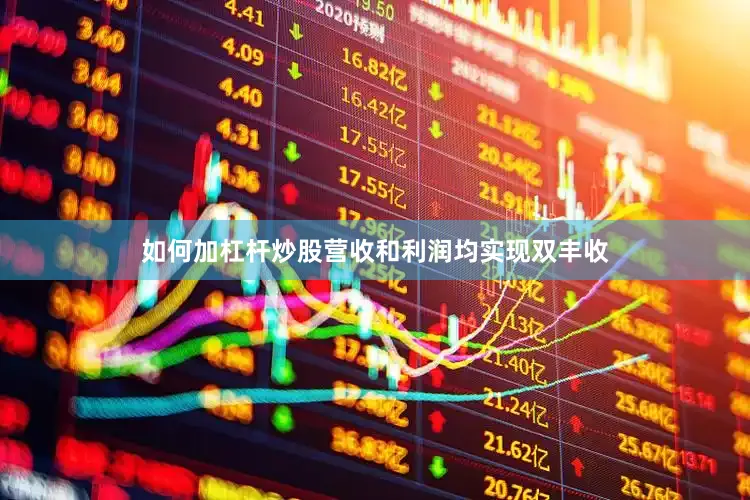 如何加杠杆炒股营收和利润均实现双丰收